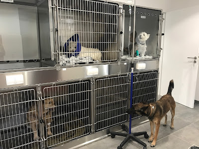 Aixiance Vet - Clinique Vétérinaire à Aix-en-Provence