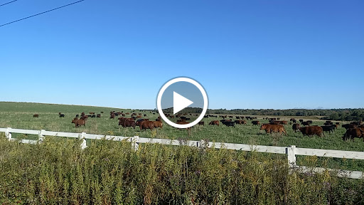 Campground «Cooperstown KOA», reviews and photos, 565 Ostrander Rd, Richfield Springs, NY 13439, USA