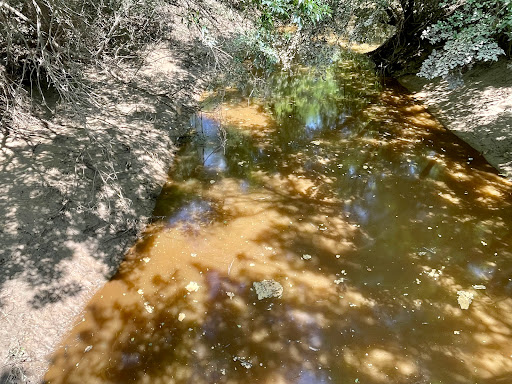 Park «River Legacy Parks», reviews and photos, 701 NE Green Oaks Blvd, Arlington, TX 76006, USA