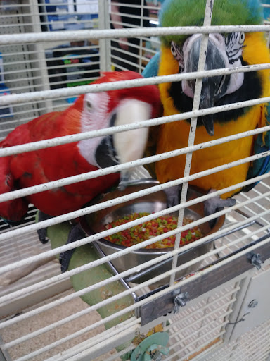 Pet Store «Feed-Rite Pet Supply», reviews and photos, 2979 Fort St, Lincoln Park, MI 48146, USA