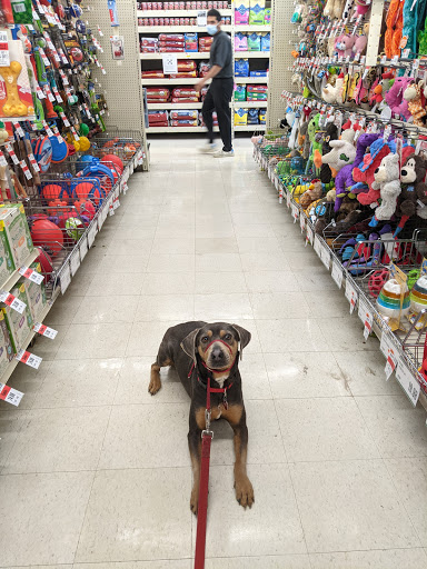 Pet Supply Store «Pet Supplies Plus», reviews and photos, 471 Boston Post Rd, Orange, CT 06477, USA