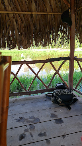 Top 20 cửa hàng speedo Huyện Hòn Đất Kiên Giang 2022