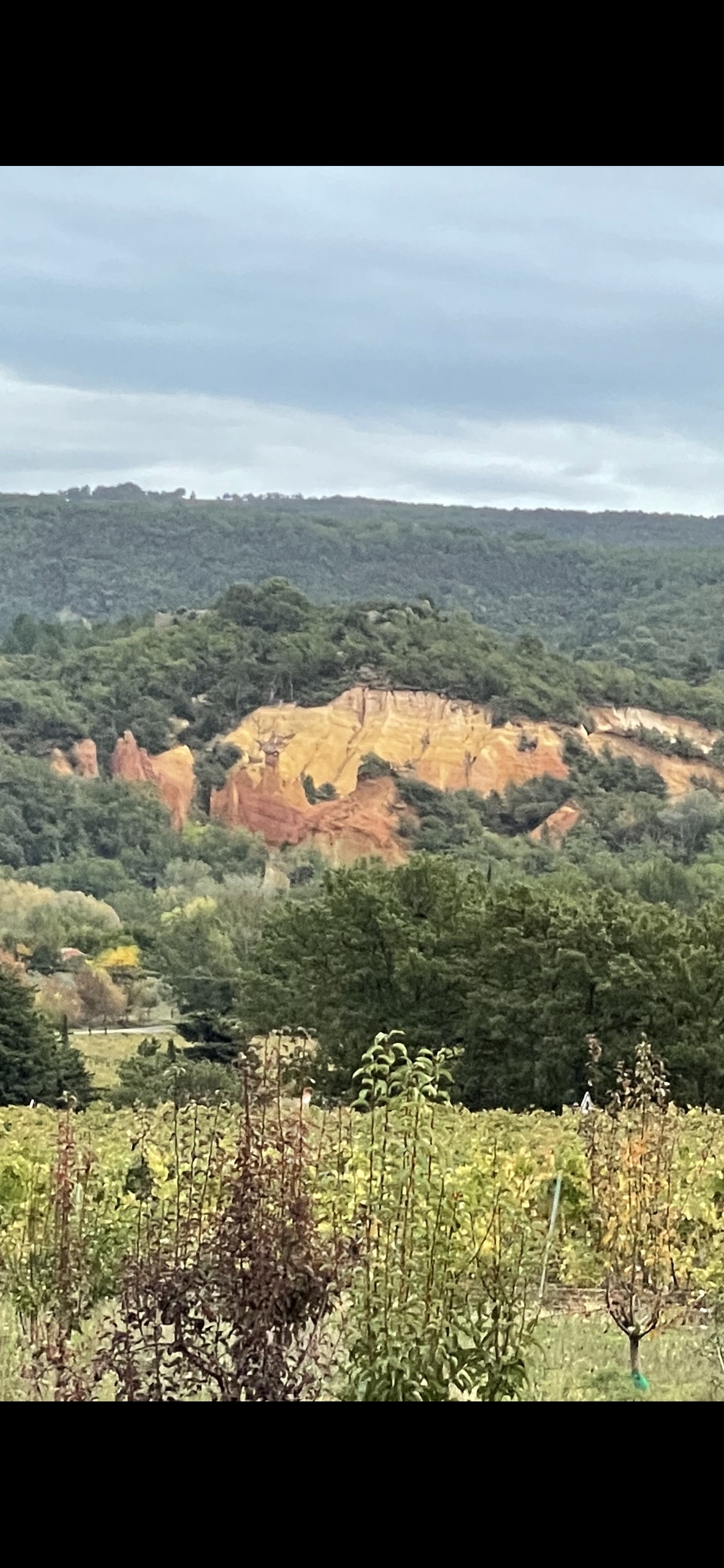 Photo n° 2 de l'avis de Pat.S fait le 29/10/2023 à 06:09