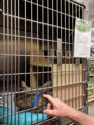Pet Supply Store «PetSmart», reviews and photos, 4500 Mitchellville Rd, Bowie, MD 20716, USA