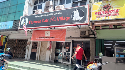 Yasmeen cats village