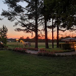 Photo n°3 de l'avis de Marcello.o fait le 01/07/2019 à 18:08 sur le  La Locanda Della Staffa à Pombia