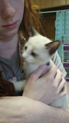 Pet Store «Picture Perfect Pet Center», reviews and photos, 1374 N Baldwin Ave, Marion, IN 46952, USA