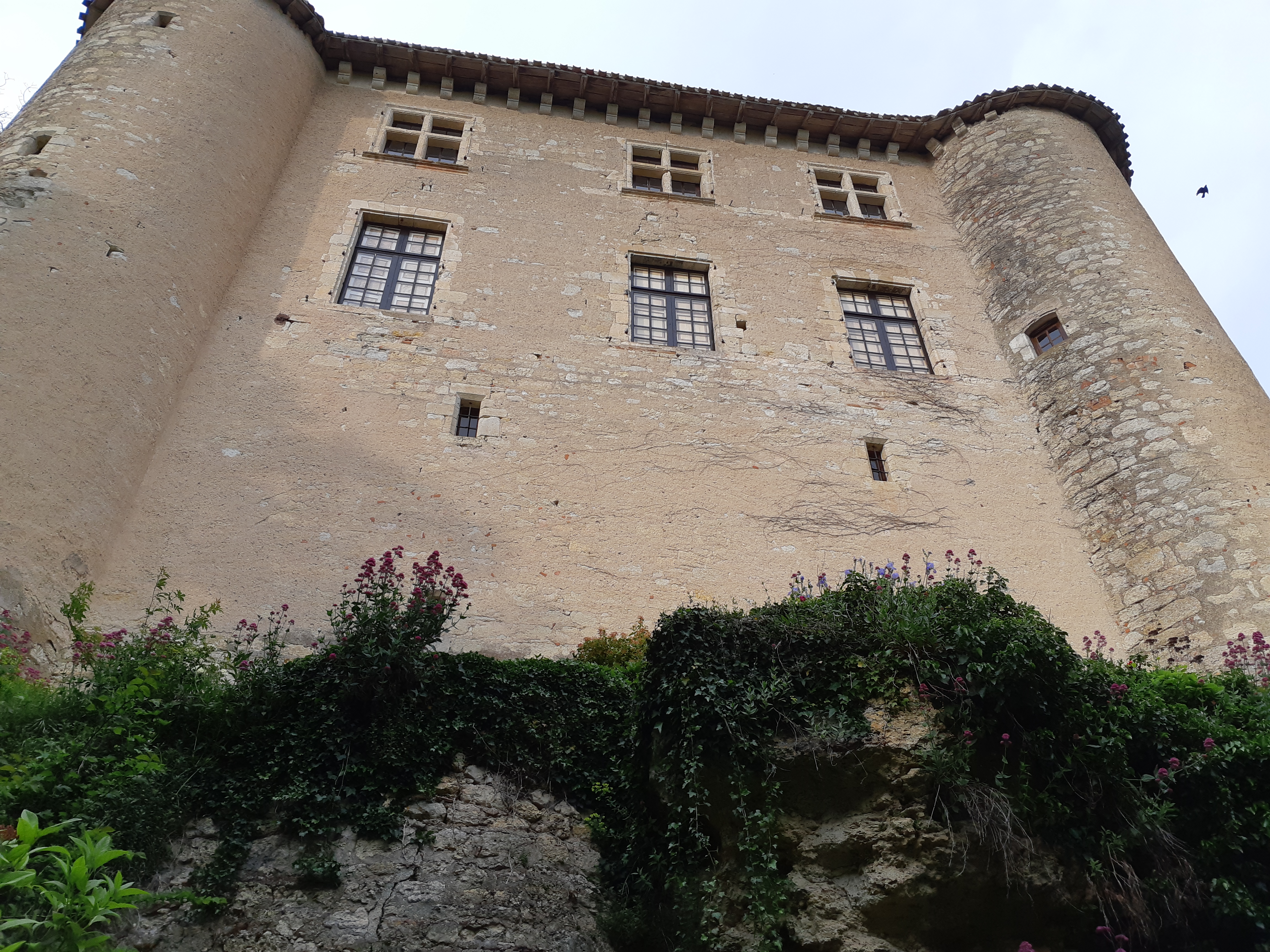 Photo n° 4 de l'avis de Hardeman.� fait le 02/05/2019 à 17:50