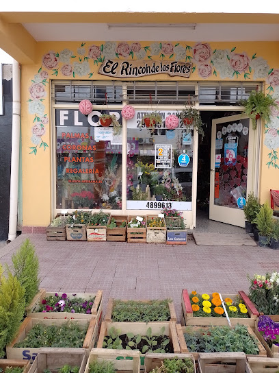 El Rincon De Las Flores Floreria