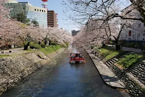 Matsukawa river's cherry blossoms image