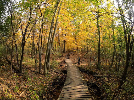 Nature Preserve «McDonald Woods Forest Preserve», reviews and photos, 19611 W Grass Lake Rd, Lake Villa, IL 60046, USA