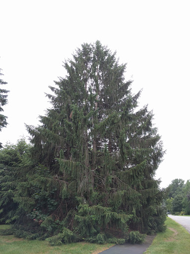 Golf Course «Maynard Golf Course», reviews and photos, 50 Brown St, Maynard, MA 01754, USA