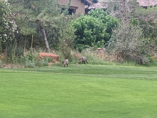 Golf Club «Seven Canyons Golf Club», reviews and photos, 625 Golf Club Way, Sedona, AZ 86336, USA
