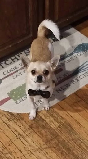 Insurance Agency «InsuranceTrak Services», reviews and photos