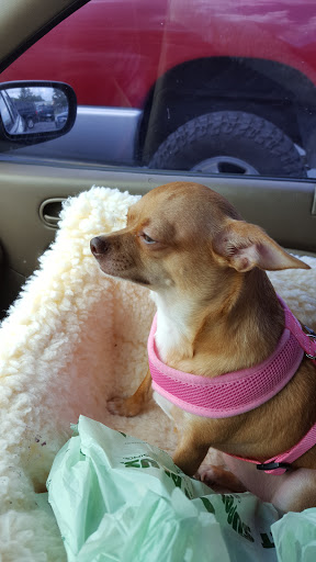 Pet Supply Store «Pet Supplies Plus», reviews and photos, 254 S Illinois Ave, Oak Ridge, TN 37830, USA