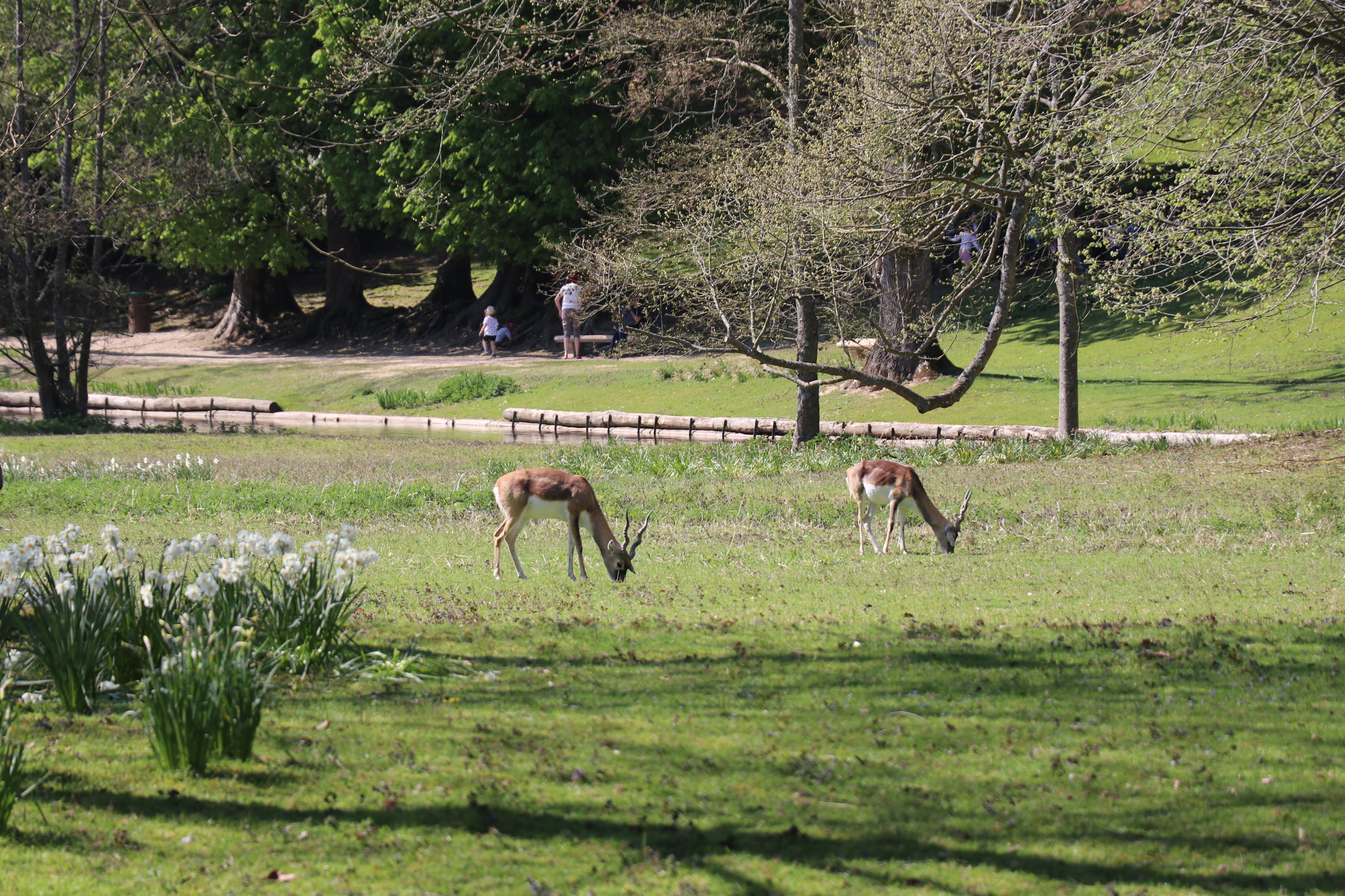 Photo n° 2 de l'avis de Julien.a fait le 21/04/2019 à 07:39
