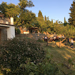 Photo n°2 de l'avis de Gianni.i fait le 06/08/2018 à 16:20 sur le  Montelucci Country Resort & Farm in Tuscany Charming à Pergine Valdarno
