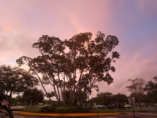 Shopping Mall «Promenade Shopping Plaza», reviews and photos, 9840 FL A1AAlt, Palm Beach Gardens, FL 33410, USA