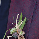 Photo n° 6 de l'avis de Renaud.i fait le 09/04/2024 à 20:44 pour Naturélément à Perrignier