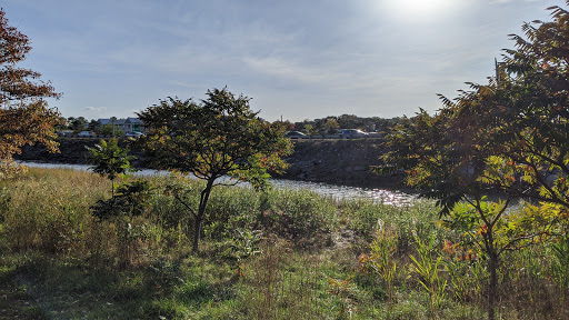 Park «Dorchester Shores Reservation Victory Road Park», reviews and photos, Victory Rd, Dorchester, MA 02122, USA