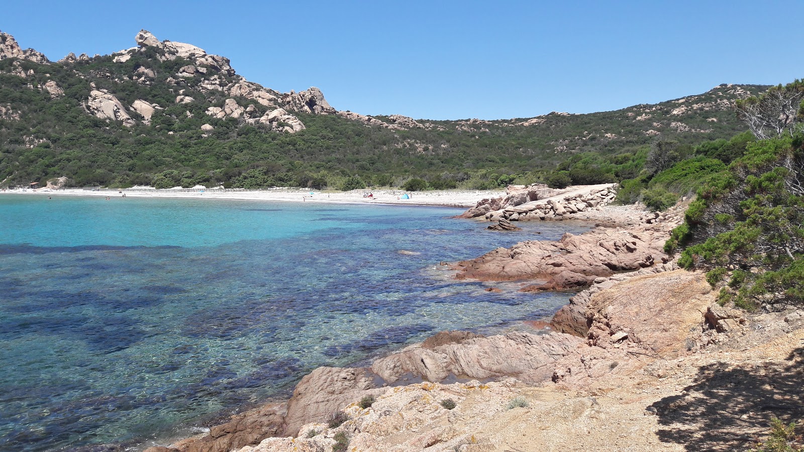 Zdjęcie Plaża Roccapina położony w naturalnym obszarze