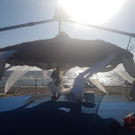 Photo n°3 de l'avis de Simonetta.i fait le 11/09/2018 à 08:24 sur le  Stabilimento Balneare Eco del Mare a Maccarese - Ristorante di Pesce - Aperitivo in Spiaggia à Fiumicino