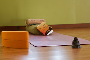 Mindful Motion Yoga Center