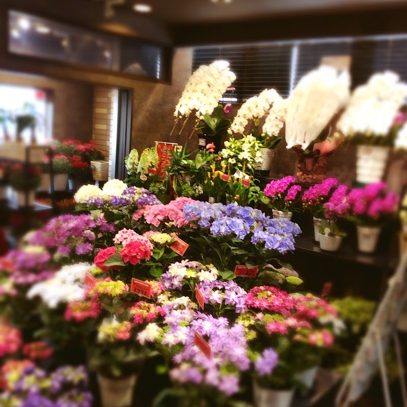 有 セイミヤ花店 臼井王子台店 千葉県佐倉市王子台 花屋 グルコミ