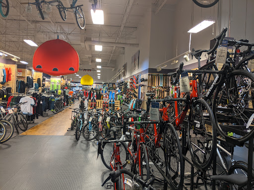 Bicycle Store «Sun & Ski», reviews and photos, 11170 N Central Expy #100, Dallas, TX 75243, USA