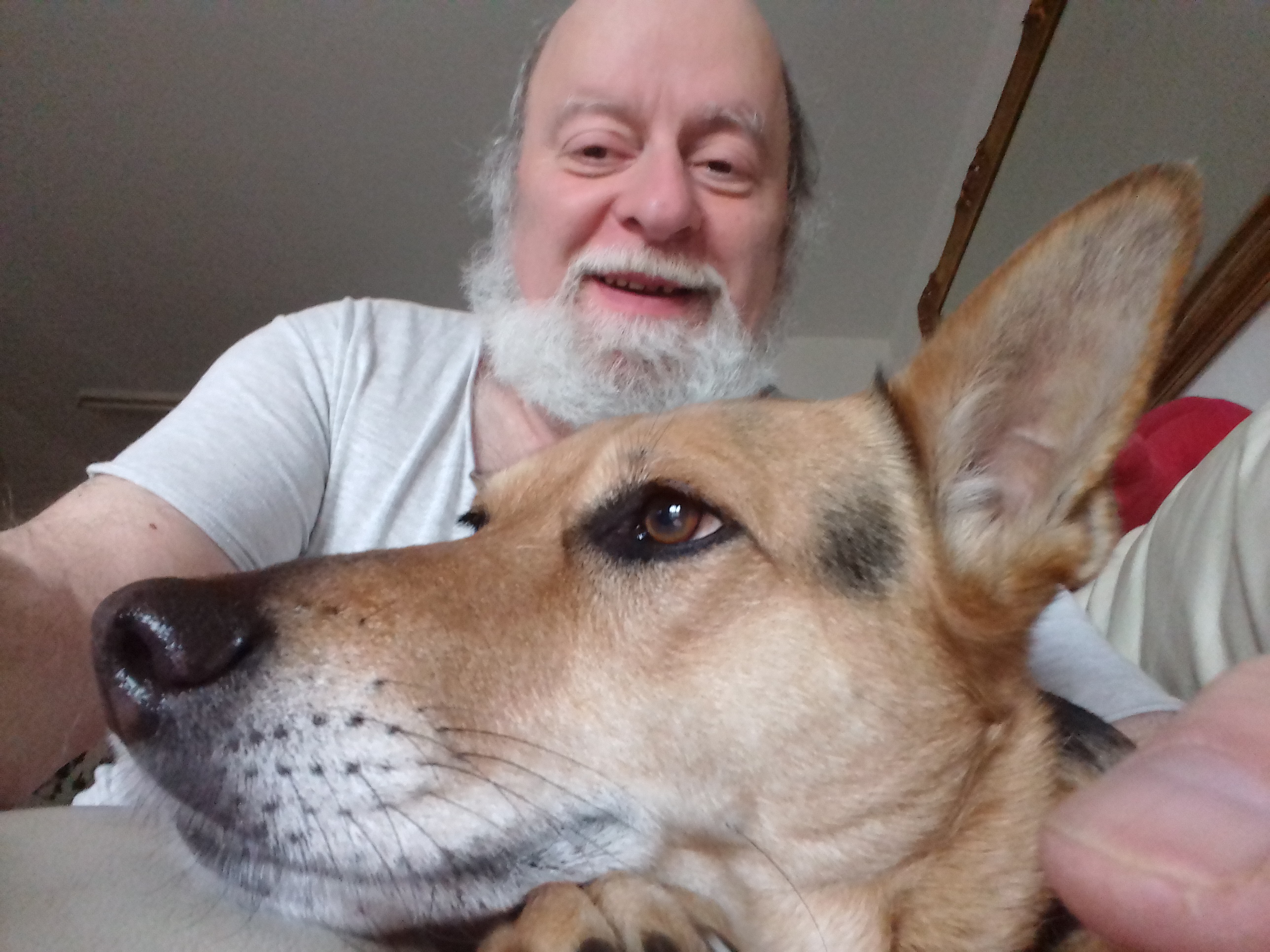 Photo n° 1 de l'avis de Michel.i fait le 01/05/2019 à 08:00