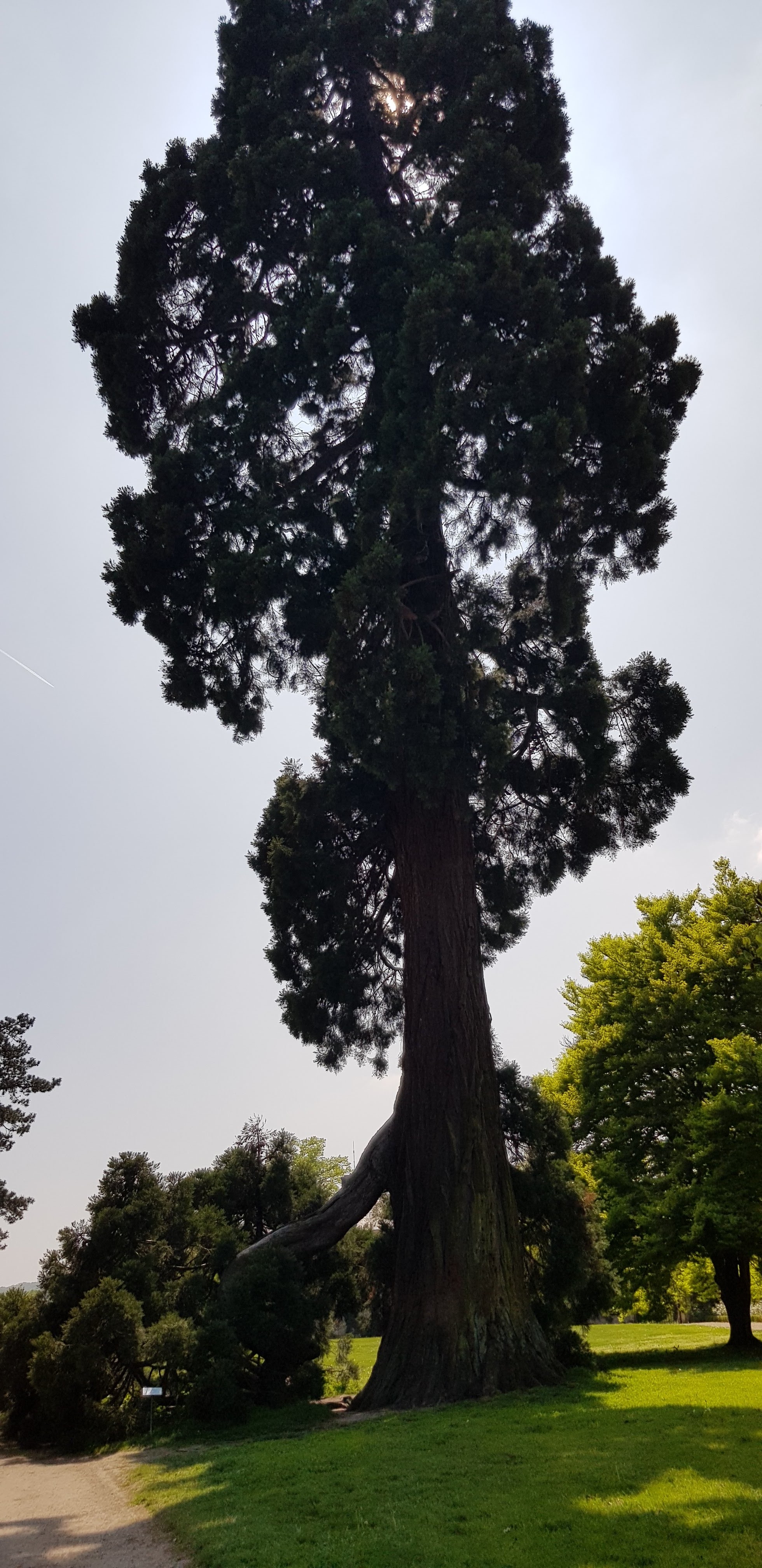 Photo n° 1 de l'avis de Anna.p fait le 01/05/2019 à 20:25