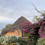 Photo n°1 de l'avis de Zeby. fait le 02/12/2021 à 09:25 sur le  Essenza Sardegna à Torpè