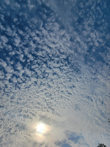 Nature Preserve «Schiller Woods East», reviews and photos, W Irving Park Rd, Chicago, IL 60634, USA