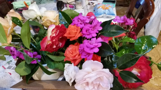 Grocery Store «Grocery Outlet Bargain Market», reviews and photos, 426 W Harder Rd, Hayward, CA 94544, USA