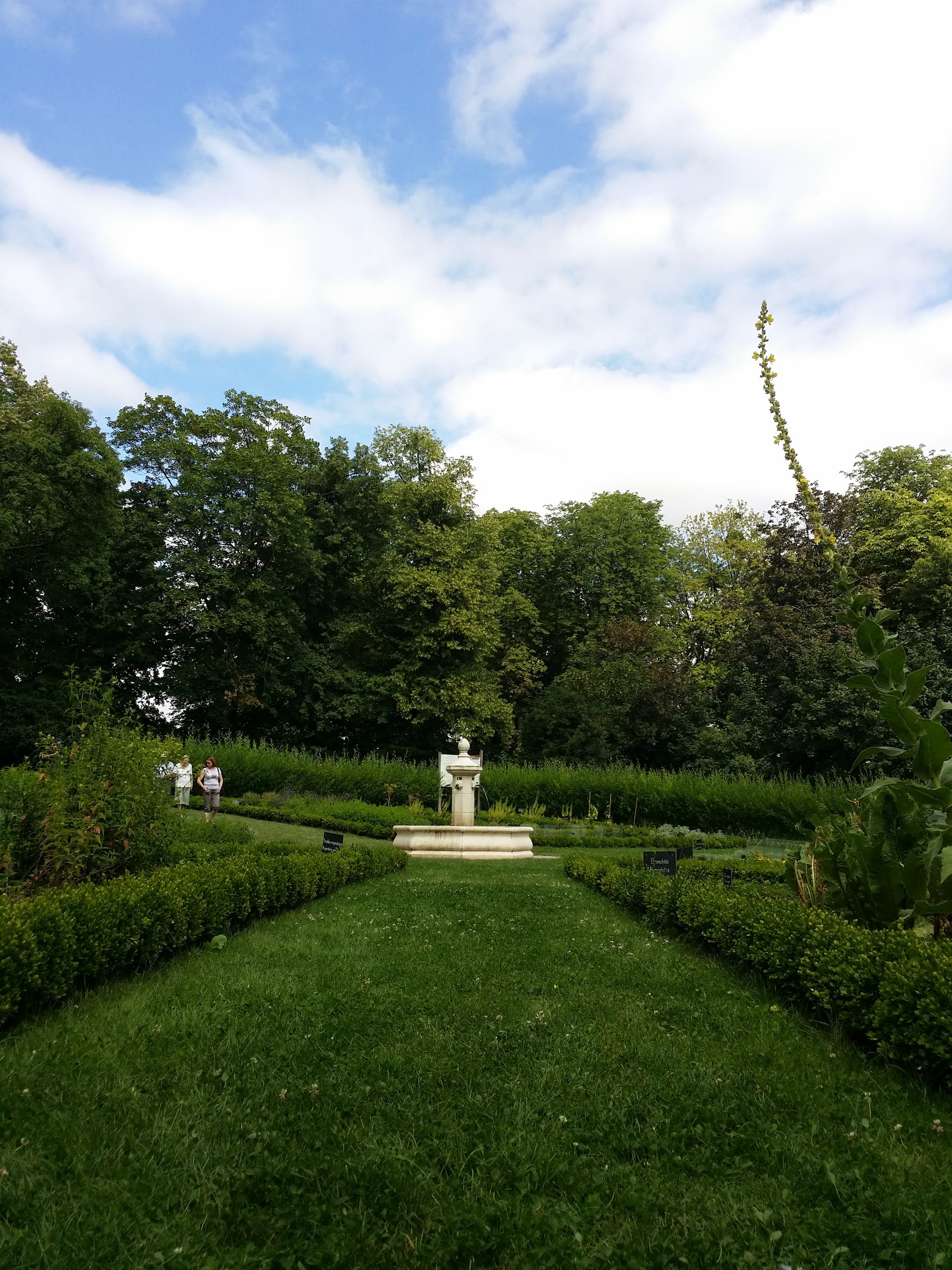 Photo n° 2 de l'avis de Loïc.a fait le 24/07/2016 à 17:05