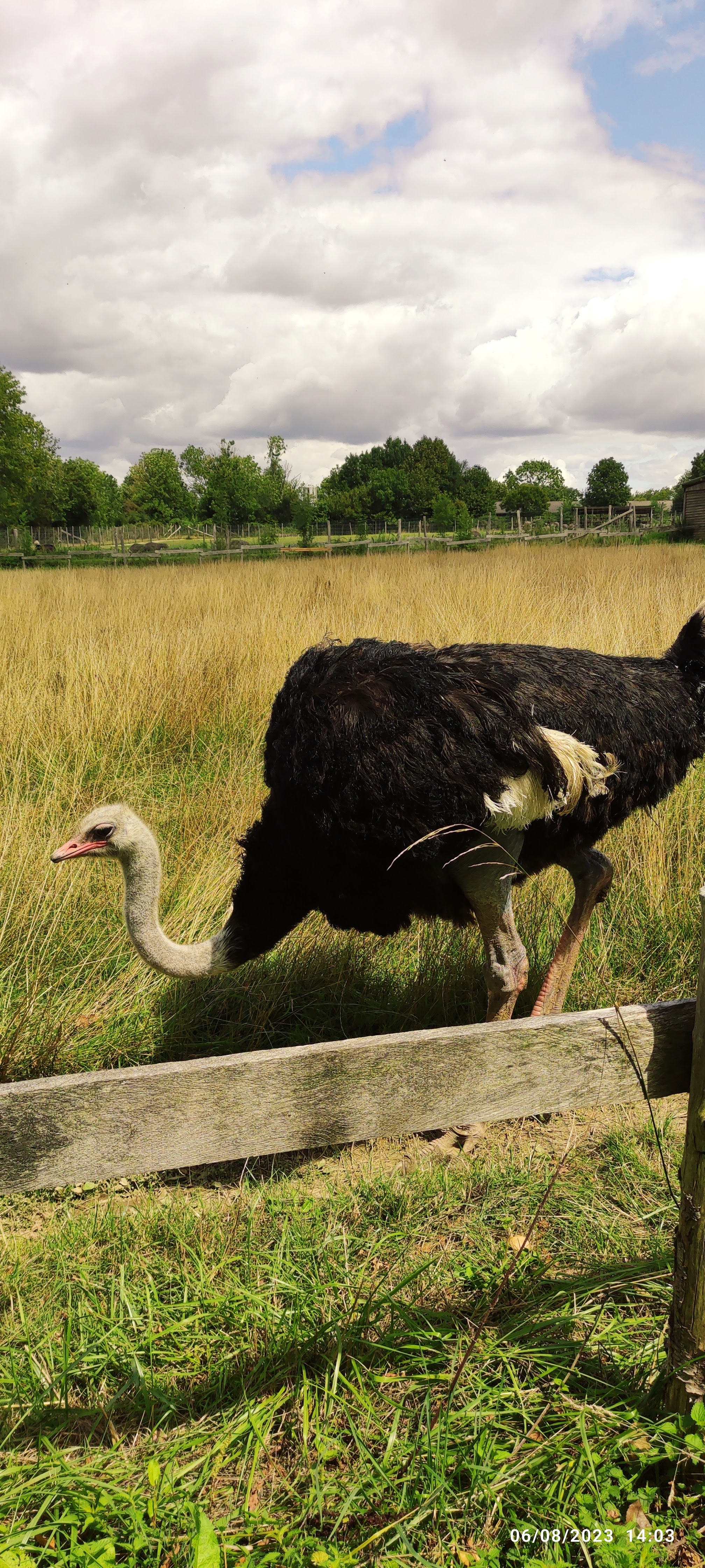 Photo n° 6 de l'avis de S.. fait le 08/08/2023 à 16:08