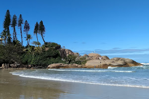 Joaquina Beach image