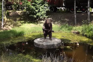 Pomnik niedźwiedzia Wojtka image