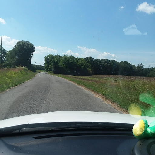 Discount Store «Dollar General», reviews and photos, 4240 Highpoint Rd, Albertville, AL 35950, USA