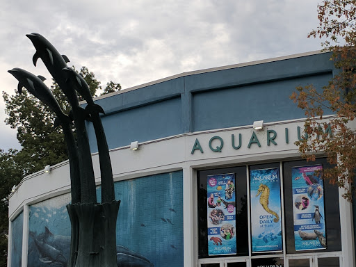Aquarium «Aquarium of Niagara», reviews and photos, 701 Whirlpool St, Niagara Falls, NY 14301, USA