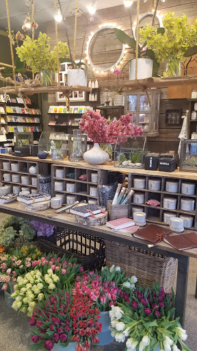 Florist «Jephry Flower Studio», reviews and photos, 432 Broadway, Providence, RI 02909, USA