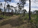 CREW Marsh Trails