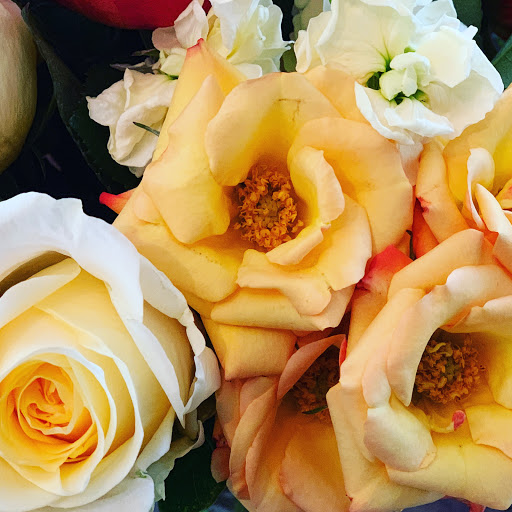 Florist «Finally Flowers», reviews and photos, 770 Stevens St, Lowell, MA 01851, USA