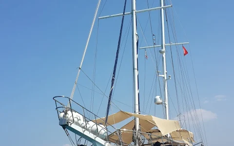 Vela Yachting LTD image