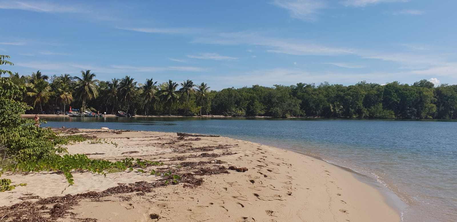 Foto von Playa Los Haitises mit beiger sand Oberfläche
