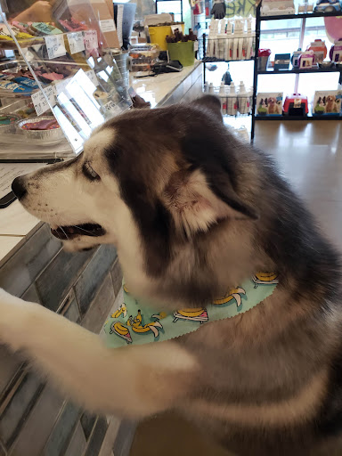 Pet Supply Store «Dog Krazy, Inc.», reviews and photos, 10681 Spotsylvania Ave, Fredericksburg, VA 22408, USA