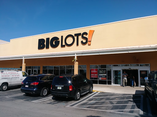 Big Lots, 11247 SW 40th St, Miami, FL 33165, USA, 