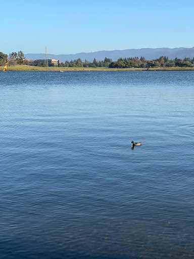 Recreation Center «Shoreline Lake Boathouse», reviews and photos, 3160 N Shoreline Blvd, Mountain View, CA 94043, USA