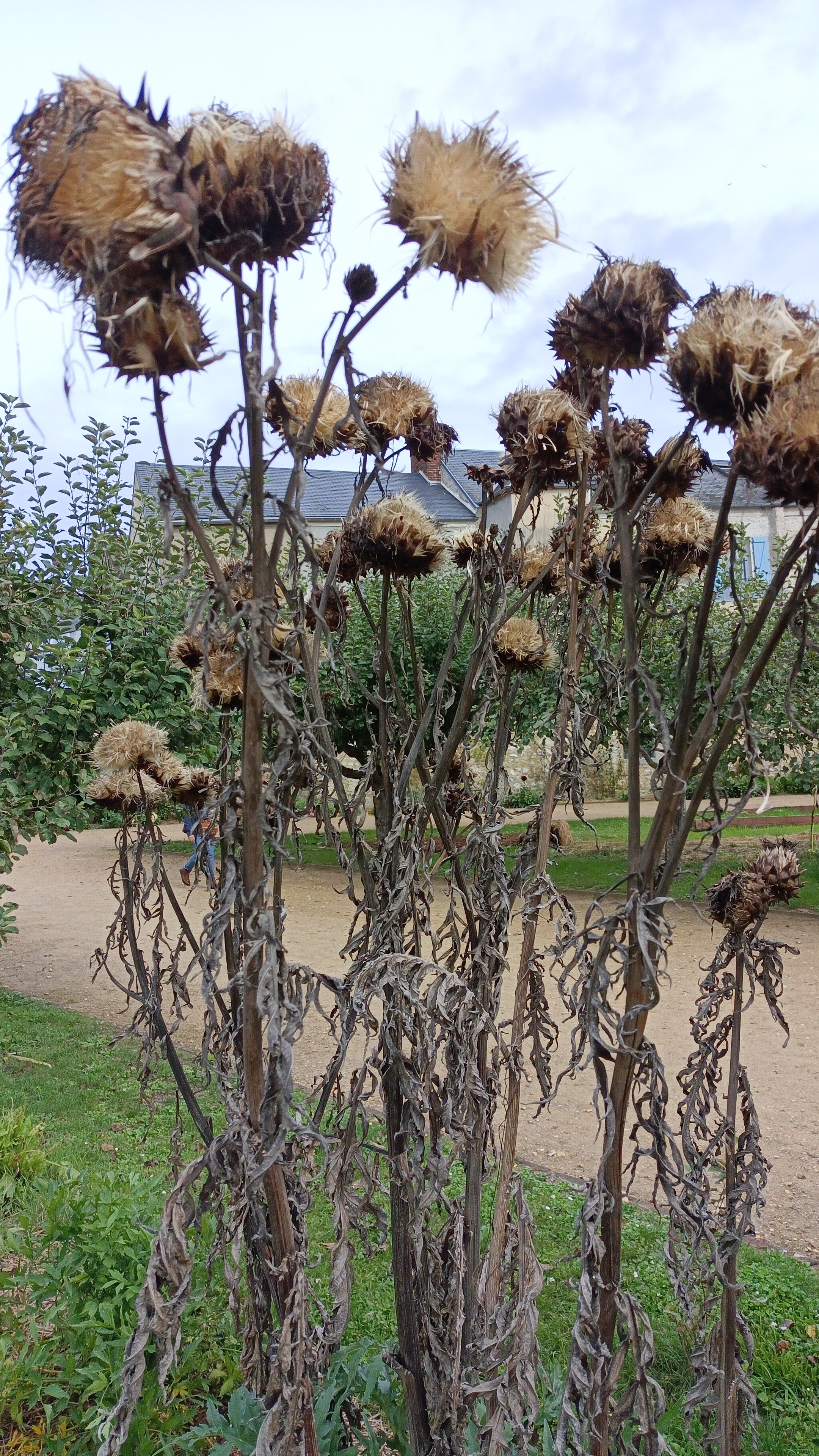 Photo n° 2 de l'avis de Marie. fait le 03/10/2021 à 20:45