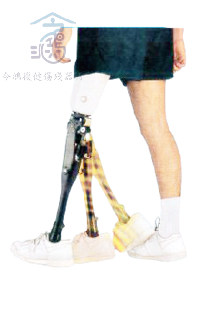 今鴻復健傷殘器材有限公司 - 電動輪椅 | 背架 | 義肢 | 輔具 | 復健器材 | 電動傾斜床